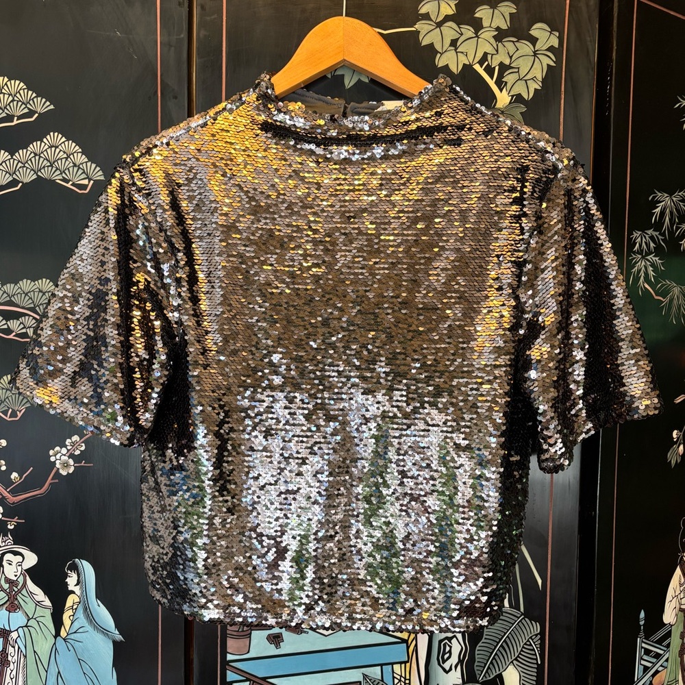H&M Silver Sequin Crop T-Shirt